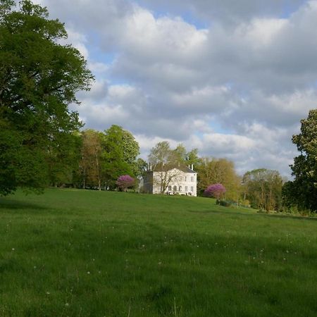B&B Chateau De Preuil Vallenay Exterior foto