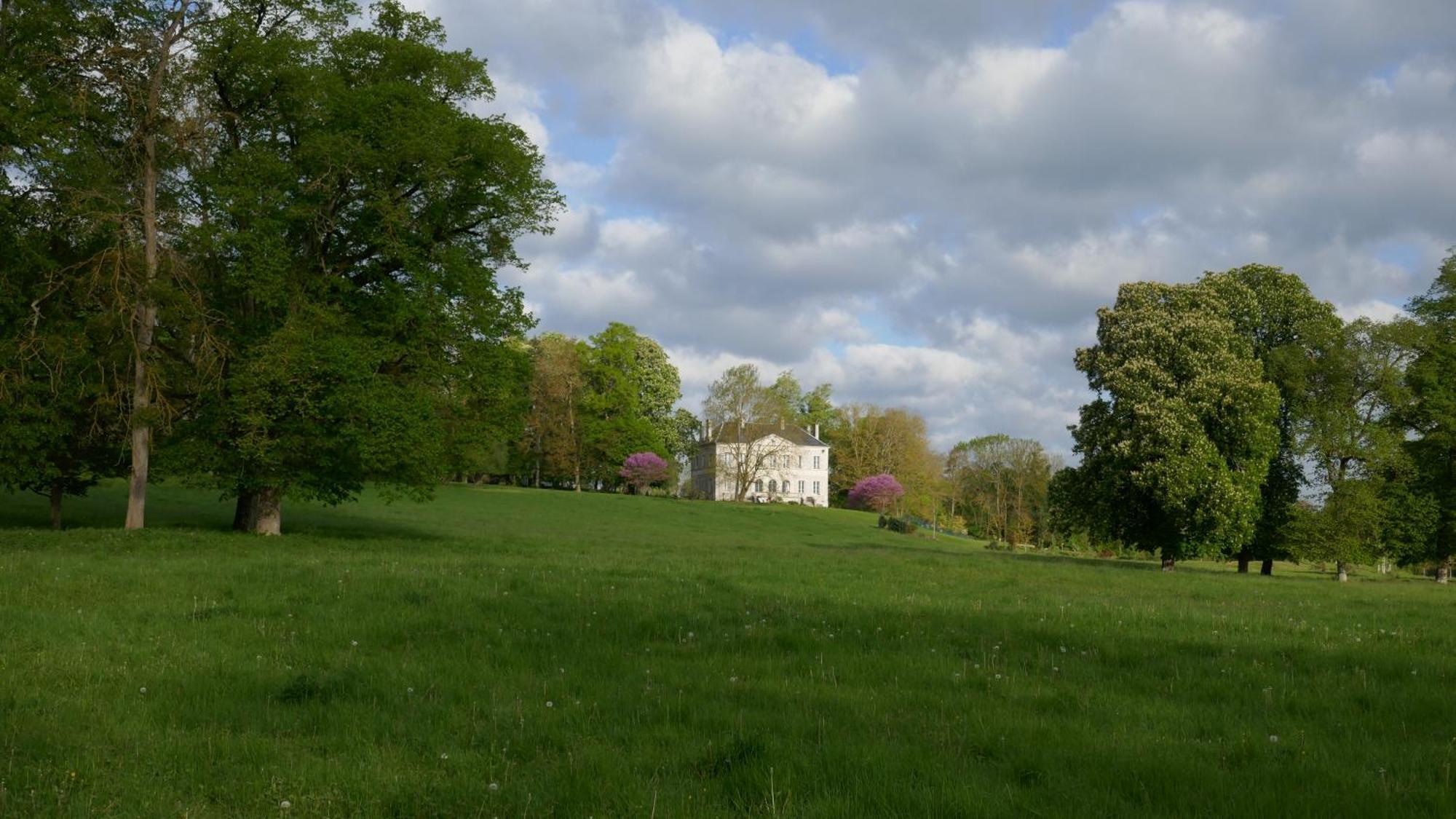 B&B Chateau De Preuil Vallenay Exterior foto