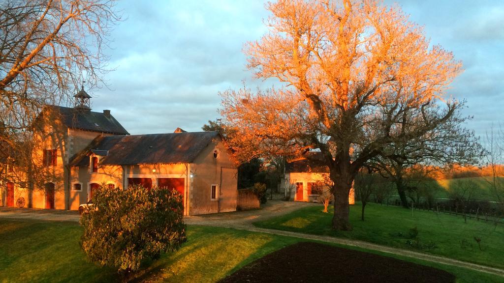 B&B Chateau De Preuil Vallenay Exterior foto